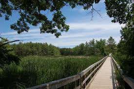 Mac Johnson Wildlife Area – Bild 4