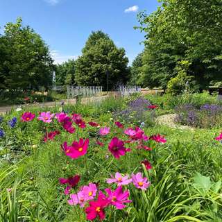 Spreeauenpark – Bild 1