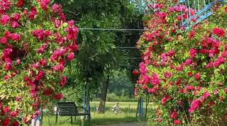 Spreeauenpark – Bild 3