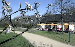 Spreeauenpark – Bild 6