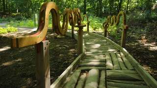 Kletterparcours - Kur- und Heilwald – Bild 1