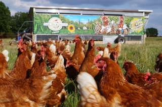 Hof Hartmann in Rettmer, Jochen Hartmann // Freilandeier, Kartoffeln und mehr direkt vom Hof – Bild 1