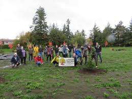 Melville Park – Bild 3
