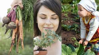 Feldfreunde – Bild 1