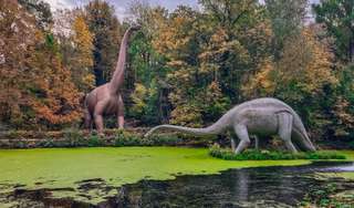 Saurierpark – Bild 6