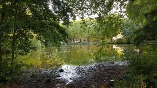 Stens Teich Park – Bild 1