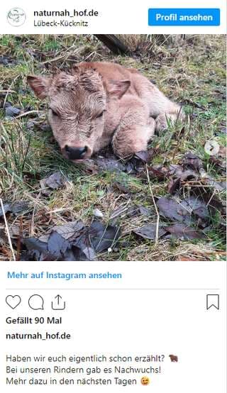 Naturnah-Hof – Bild 3