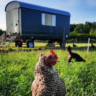 Naturnah-Hof – Bild 4