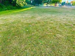 Victory Park – Bild 5