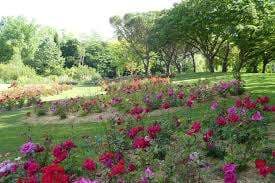 Rose Gardens Park – Bild 4