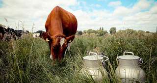 Gottschalk's Hof – Bild 2