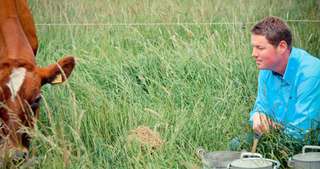 Gottschalk's Hof – Bild 3