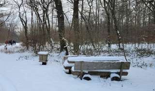 Freizeitpark Erftaue – Bild 6