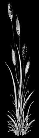 Café am See – Bild 5