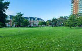 Lakeshore Village Park – Bild 1