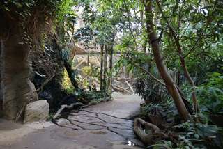 Zoo Frankfurt – Bild 6