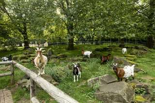 Kleintiergarten im Grugapark – Bild 1