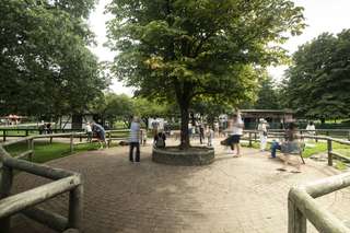 Kleintiergarten im Grugapark – Bild 4