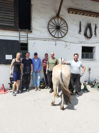 Reiterhof der Kinderhilfe e.V. – Bild 1