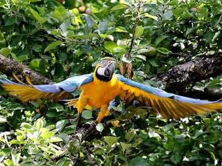 Vogelpark Heiligenkirchen - der Familienpark in NRW – Bild 3