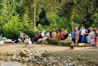 Vogelpark Heiligenkirchen - der Familienpark in NRW – Bild 5
