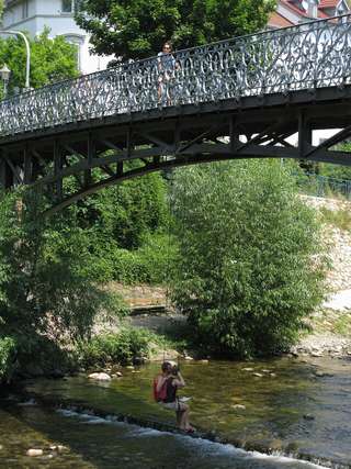 Dreisam-Schaukel – Bild 1