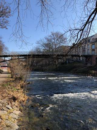 Dreisam-Schaukel – Bild 4