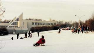 Rodelberg in Salzgitter Krähenriede – Bild 4