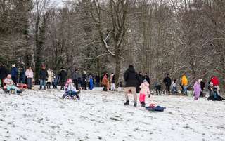 Rodelberg in Salzgitter Krähenriede – Bild 6