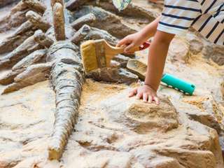 Dino Adventure Park – Bild 1
