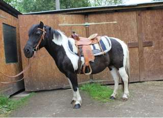 Conchita Ranch – Bild 3