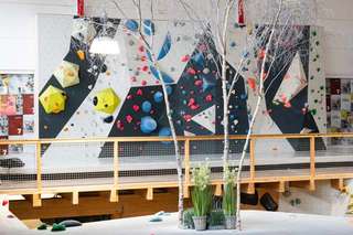 urban apes Lüneburg – Bild 1