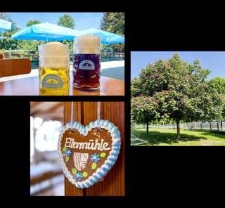 Biergarten Ellermühle – Bild 2