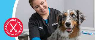 PetSmart – Bild 1