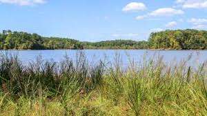 Forest Ridge Park – Bild 3