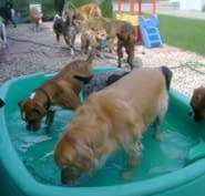 Fido's Playground – Bild 6