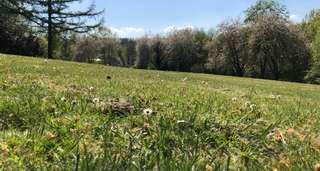 Fußballgolf Möhnesee + Böhm´s Imbiss – Bild 5
