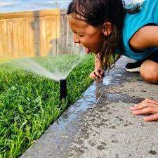 Champagne Irrigation – Bild 3