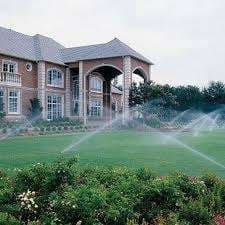 Champagne Irrigation – Bild 6