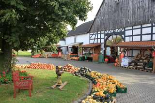 Hof Sanders GbR – Bild 3