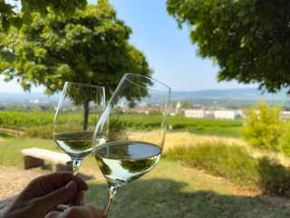 Grillplatz am Ikasee – Bild 6