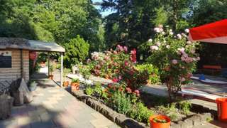 Minigolfplatz Hasenheide – Bild 3