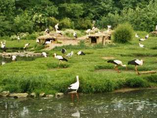 NaturZoo Rheine – Bild 3