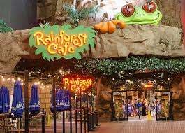 Rainforest Cafe Niagara Falls Canada – Bild 1