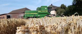 Buscherhof – Bild 1