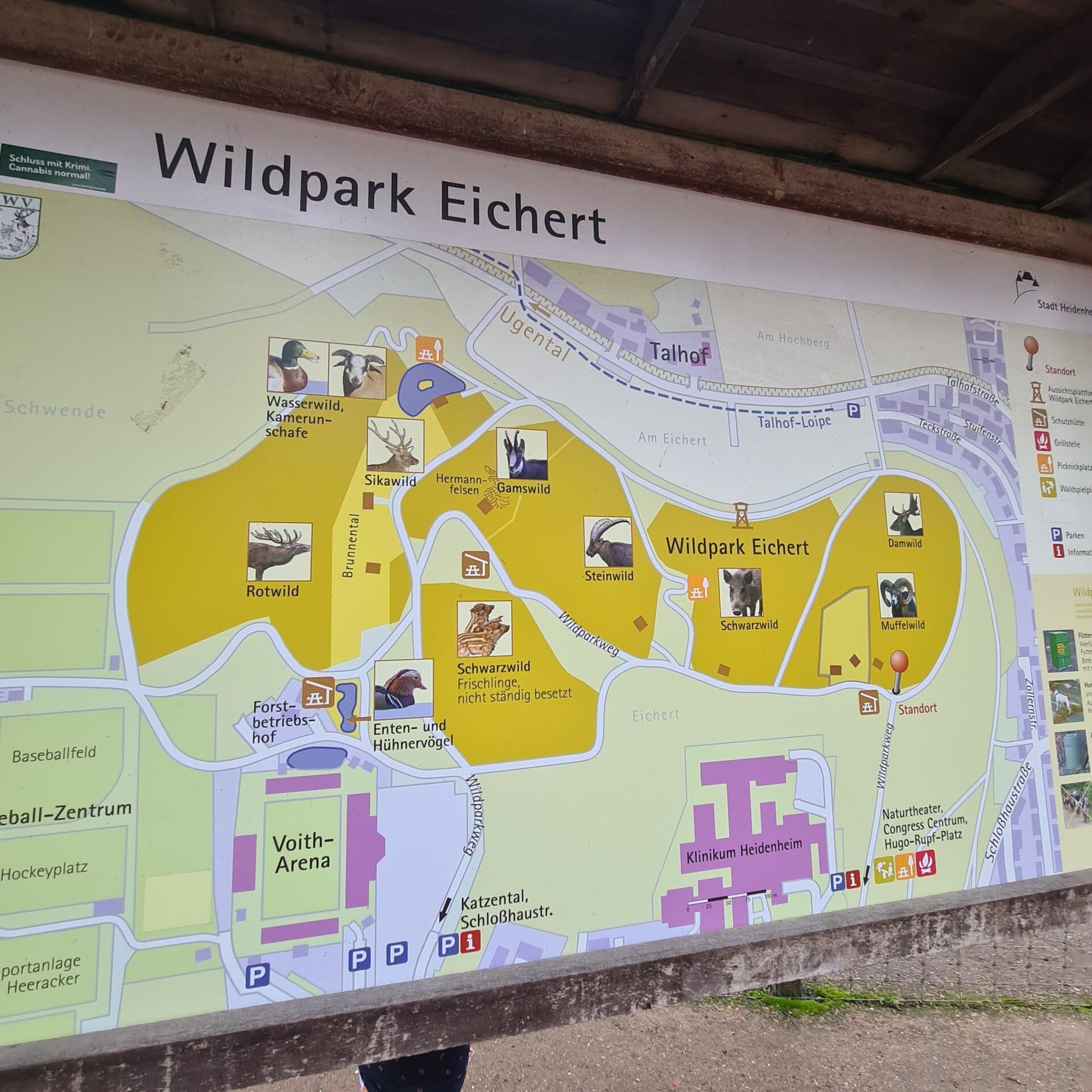 Wildpark Eichert – Bild 4