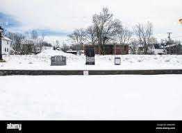 Elm Park – Bild 5