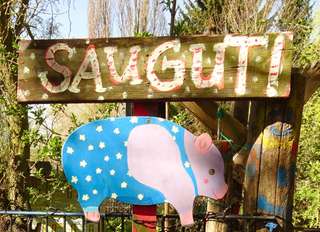 das Sonnenhaus – Bild 2