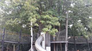 Werk Bleidenberg – Bild 2