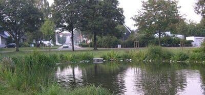 Ententeich in Herne-Süd – Bild 1